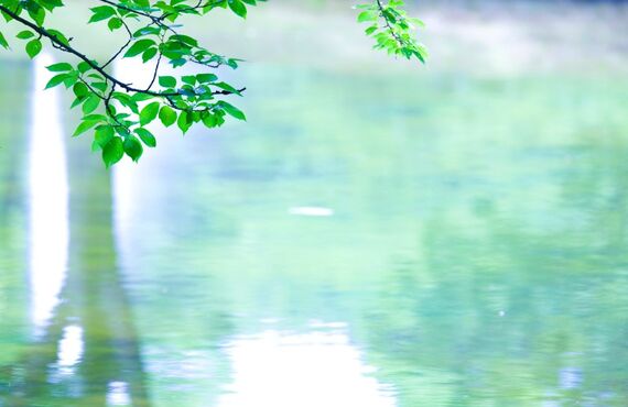 大建は関西圏内を中心に屋根修理外装工事内装水回りのリフォームをご用意