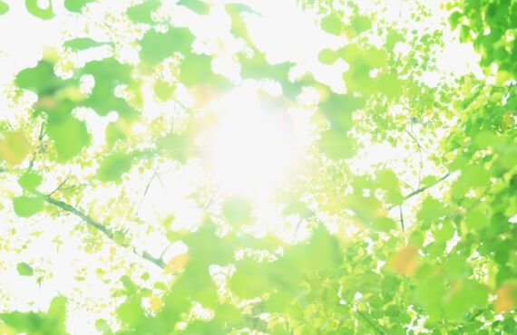 大建は関西圏内を中心に屋根修理外装工事内装水回りのリフォームをご用意